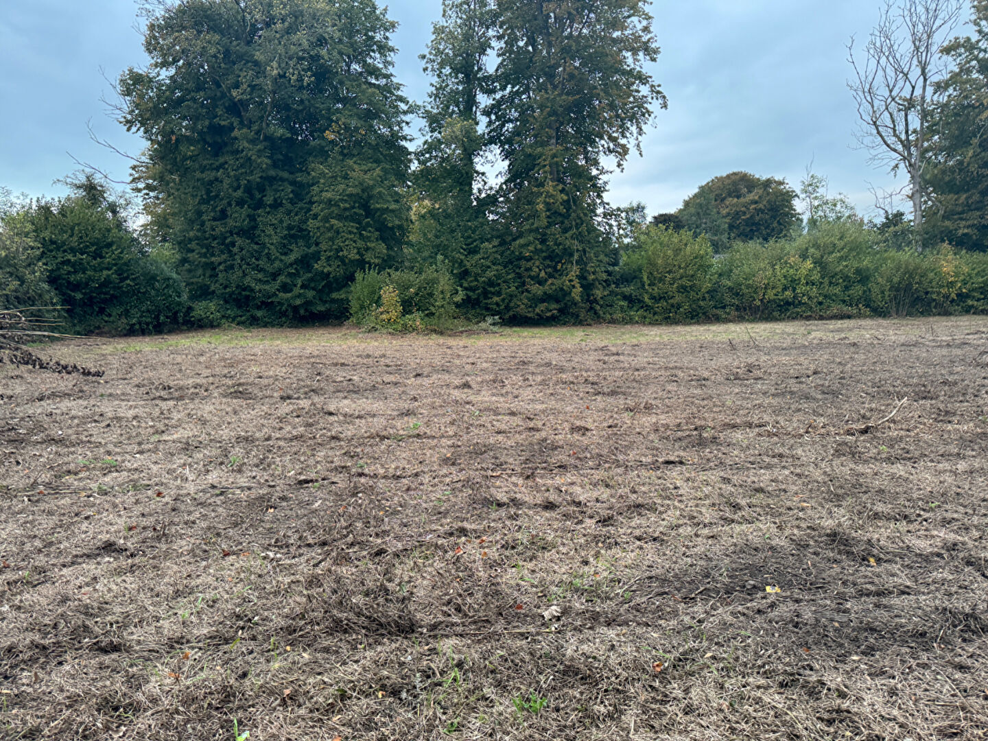 CRIQUETOT L’ESNEVAL  TERRAIN CONSTRUCTIBLE  PLAT